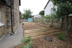 Side Garden- click for photo gallery